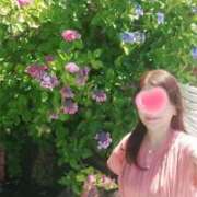 ヒメ日記 2026/04/13 13:34 投稿 とわこ 逢って30秒で即尺