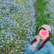ヒメ日記 2026/04/25 11:40 投稿 とわこ 逢って30秒で即尺
