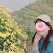 ヒメ日記 2026/05/03 12:05 投稿 とわこ 逢って30秒で即尺