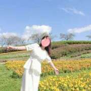 ヒメ日記 2026/07/12 08:01 投稿 とわこ 逢って30秒で即尺
