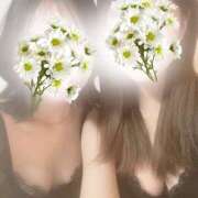 ヒメ日記 2026/04/03 17:35 投稿 じゅり SWEET～berta～