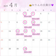 ヒメ日記 2025/04/02 10:09 投稿 かりん ビギナーズ和歌山