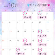 ヒメ日記 2025/10/01 09:54 投稿 かりん ビギナーズ和歌山