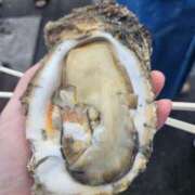 ヒメ日記 2025/02/25 22:59 投稿 ゆあ Second Love（セカンドラブ）