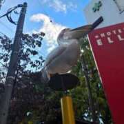 ヒメ日記 2025/11/01 17:30 投稿 ゆあ Second Love（セカンドラブ）