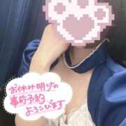 れんか いつもありがとう🎀 11チャンネル