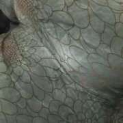 ヒメ日記 2025/12/19 15:09 投稿 冬美(ふゆみ) 佐賀人妻デリヘル 「デリ夫人」