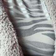 ヒメ日記 2025/12/29 12:52 投稿 冬美(ふゆみ) 佐賀人妻デリヘル 「デリ夫人」