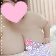 ヒメ日記 2025/08/03 17:06 投稿 かなこ ぽちゃLOVE(サンライズグループ)