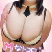 ヒメ日記 2025/09/26 15:21 投稿 かなこ ぽちゃLOVE(サンライズグループ)