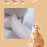 ヒメ日記 2025/02/22 09:56 投稿 宮田　真由 五十路マダム 仙台店