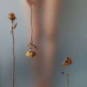 ヒメ日記 2025/02/28 09:52 投稿 宮田　真由 五十路マダム 仙台店