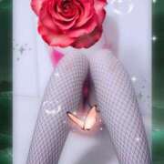 ヒメ日記 2025/03/20 13:14 投稿 宮田　真由 五十路マダム 仙台店