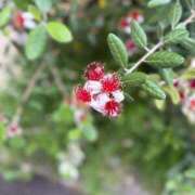 ヒメ日記 2025/06/26 00:56 投稿 れあ Lolipop（ロリポップ）