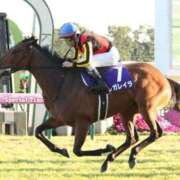 ヒメ日記 2025/11/17 05:53 投稿 れい ニューグランド