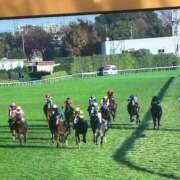 ヒメ日記 2025/11/30 16:23 投稿 れい ニューグランド