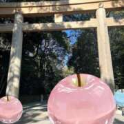 ヒメ日記 2026/01/31 13:07 投稿 れい ニューグランド