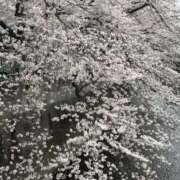 ヒメ日記 2026/03/29 16:25 投稿 れい ニューグランド