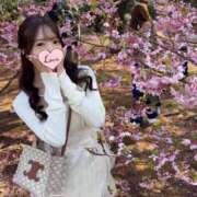 ヒメ日記 2026/03/24 23:11 投稿 Kokona LUXURY（ラグジュアリー）