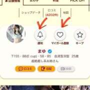 ヒメ日記 2025/05/13 09:52 投稿 まゆ お姉京都