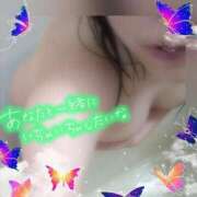 ヒメ日記 2025/01/14 17:49 投稿 亜緒(あお) エッチな熟女(広島)