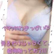 ヒメ日記 2025/04/03 08:00 投稿 亜緒(あお) エッチな熟女(広島)