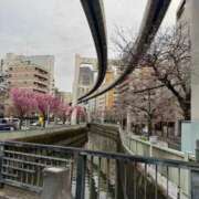 ヒメ日記 2025/03/29 11:45 投稿 さつき BLACK LABEL R's