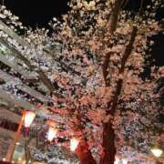 ヒメ日記 2025/04/02 23:13 投稿 ちひろ ナイスディ