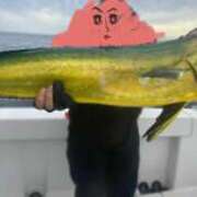 ヒメ日記 2025/09/26 20:36 投稿 ちひろ ナイスディ