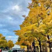 ヒメ日記 2025/11/28 23:01 投稿 ちひろ ナイスディ