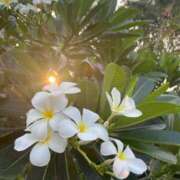 ヒメ日記 2026/04/17 19:34 投稿 ちひろ ナイスディ