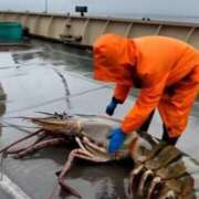 ヒメ日記 2025/03/09 17:46 投稿 アノ Picasso(ピカソ)