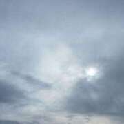 ヒメ日記 2025/03/13 10:30 投稿 アノ Picasso(ピカソ)