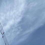 ヒメ日記 2025/04/08 13:06 投稿 アノ Picasso(ピカソ)