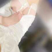 ヒメ日記 2025/04/16 17:26 投稿 アノ Picasso(ピカソ)