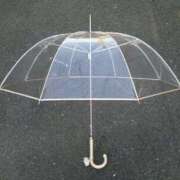 ヒメ日記 2025/05/05 18:26 投稿 アノ Picasso(ピカソ)