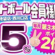 ヒメ日記 2024/12/19 11:08 投稿 海老原 西川口デッドボール