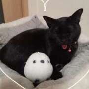 ヒメ日記 2026/02/22 14:28 投稿 海老原 西川口デッドボール