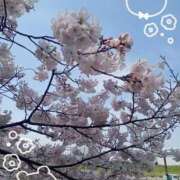 ヒメ日記 2026/03/30 13:48 投稿 海老原 西川口デッドボール