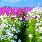 ヒメ日記 2025/10/15 08:32 投稿 中村あずさ 五十路マダム 仙台店