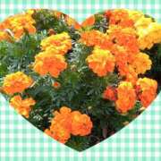 ヒメ日記 2025/10/19 09:56 投稿 中村あずさ 五十路マダム 仙台店