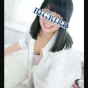 ヒメ日記 2025/04/04 06:04 投稿 藍子（あいこ） ビッグバード