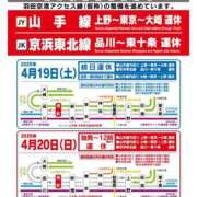 ヒメ日記 2025/04/19 07:24 投稿 藍子（あいこ） ビッグバード