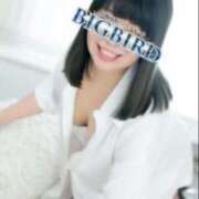 ヒメ日記 2025/06/16 08:54 投稿 藍子（あいこ） ビッグバード