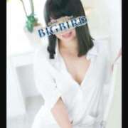 ヒメ日記 2025/06/21 08:32 投稿 藍子（あいこ） ビッグバード