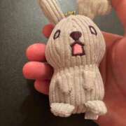 ヒメ日記 2025/06/29 13:25 投稿 藍子（あいこ） ビッグバード