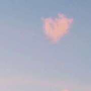 ヒメ日記 2025/09/06 18:44 投稿 藍子（あいこ） ビッグバード