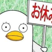 ヒメ日記 2025/10/06 19:44 投稿 藍子（あいこ） ビッグバード