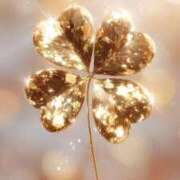 ヒメ日記 2025/11/25 15:20 投稿 藍子（あいこ） ビッグバード