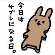 藍子（あいこ） お知らせ⋆͛📢⋆ ビッグバード